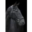 EcoRider EcoSoft Finesse Bridle Black